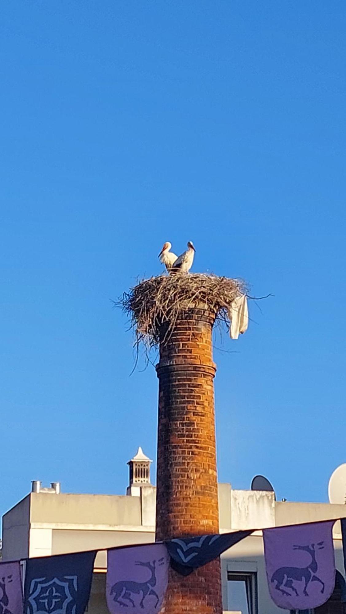 "Oliveiras" Appartement Typique Avec Terrasse Et Piscine Loulé Exterior foto
